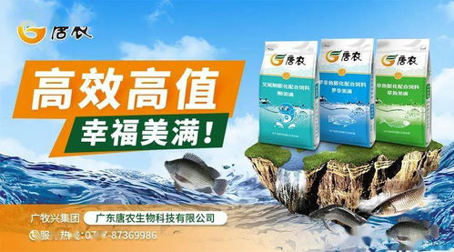 豆粕玉米持续联动上涨，饲料厂压力大增 江门、佛山、茂名、海南水产料全线上涨，防腐剂也未能幸免